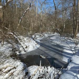 Photo #30 of 873 Six Mile, Chapel Hill, NC 10.0 acres