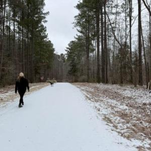 Photo #29 of 873 Six Mile, Chapel Hill, NC 10.0 acres