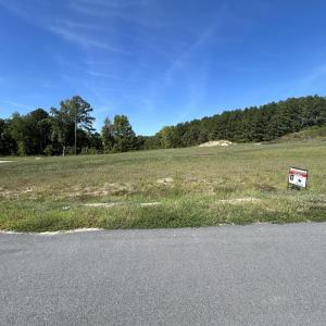 Photo #1 of 3629 Bailey Mdws, Wake Forest, NC 1.2 acres