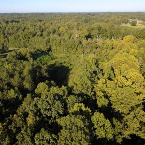 Photo #4 of Country Highland, Mebane, NC 10.0 acres