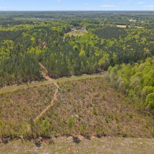 Photo #6 of 34.5 Acres Social Plain, Middlesex, NC 34.5 acres