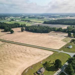 Photo #3 of Mclamb, Dunn, NC 13.5 acres