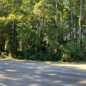 Photo #8 of Ten Ten, Fuquay Varina, NC 1.5 acres