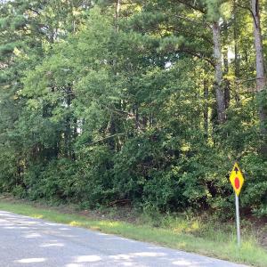 Photo #9 of Ten Ten, Fuquay Varina, NC 1.5 acres