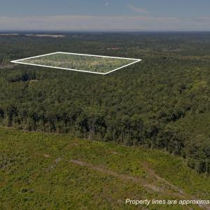 Photo #1 of 1b Ponderosa, Cameron, NC 19.3 acres