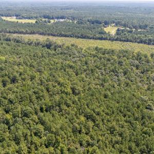 Photo #10 of 1b Ponderosa, Cameron, NC 19.3 acres