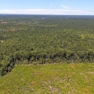 Photo #3 of 1b Ponderosa, Cameron, NC 19.3 acres