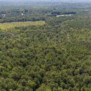 Photo #13 of 1b Ponderosa, Cameron, NC 19.3 acres