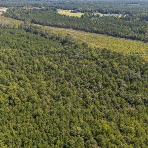 Photo #8 of 1b Ponderosa, Cameron, NC 19.3 acres