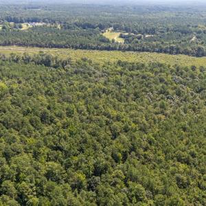 Photo #11 of 1b Ponderosa, Cameron, NC 19.3 acres