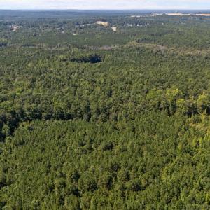 Photo #16 of 1b Ponderosa, Cameron, NC 19.3 acres