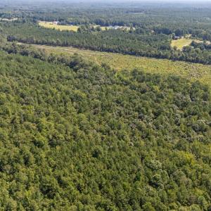 Photo #9 of 1b Ponderosa, Cameron, NC 19.3 acres