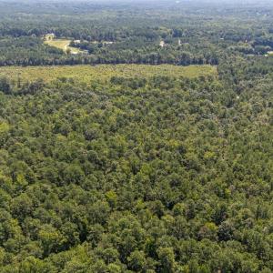 Photo #12 of 1b Ponderosa, Cameron, NC 19.3 acres