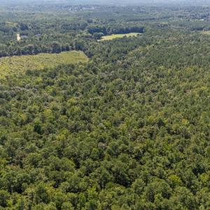 Photo #14 of 1b Ponderosa, Cameron, NC 19.3 acres