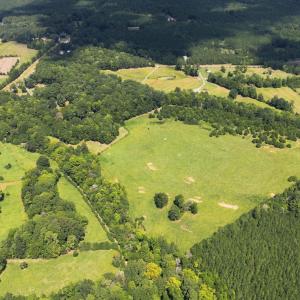 Photo #12 of 859 Pittsboro Goldston, Pittsboro, NC 33.0 acres