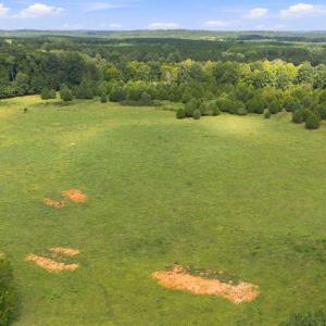 Photo #10 of 859 Pittsboro Goldston, Pittsboro, NC 33.0 acres