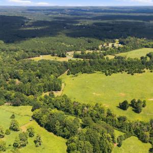 Photo #7 of 859 Pittsboro Goldston, Pittsboro, NC 33.0 acres