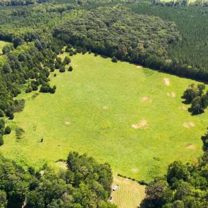 Photo #1 of 859 Pittsboro Goldston, Pittsboro, NC 33.0 acres