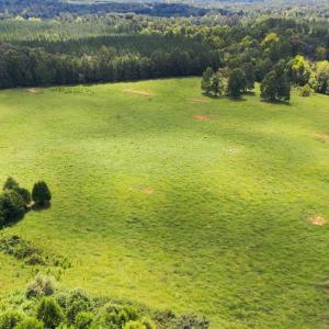 Photo #3 of 859 Pittsboro Goldston, Pittsboro, NC 33.0 acres