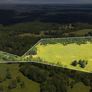 Photo #2 of 859 Pittsboro Goldston, Pittsboro, NC 33.0 acres
