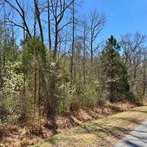 Photo #1 of 132 Bill Thomas, Moncure, NC 5.4 acres