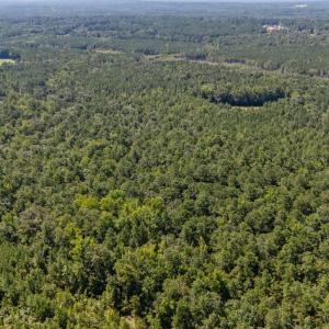 Photo #5 of 1a Ponderosa, Cameron, NC 19.2 acres