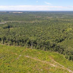 Photo #2 of 1a Ponderosa, Cameron, NC 19.2 acres