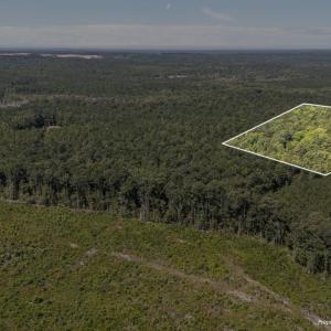 Photo #1 of 1a Ponderosa, Cameron, NC 19.2 acres