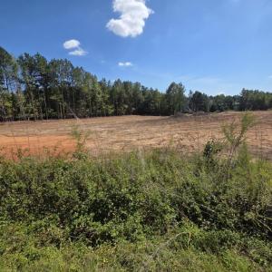 Photo #4 of Bert Winston, Youngsville, NC 2.0 acres
