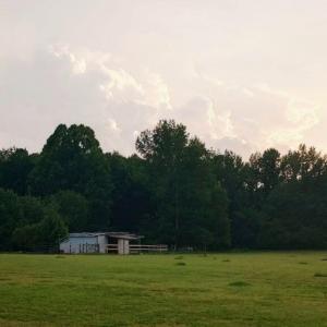 Photo #11 of 1376 Hickory Crossroads, Kenly, NC 10.9 acres