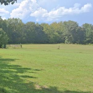 Photo #1 of 1376 Hickory Crossroads, Kenly, NC 10.9 acres