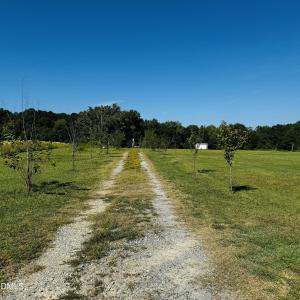 Photo #10 of 1376 Hickory Crossroads, Kenly, NC 10.9 acres