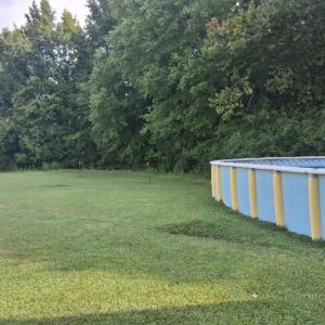 Photo #13 of 1376 Hickory Crossroads, Kenly, NC 10.9 acres