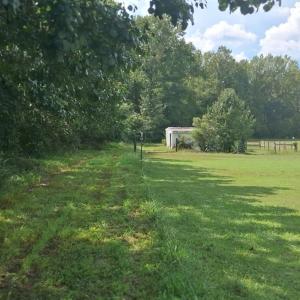 Photo #12 of 1376 Hickory Crossroads, Kenly, NC 10.9 acres