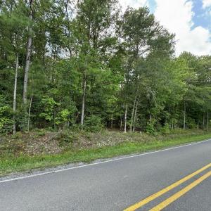 Photo #4 of New Elam Church, Moncure, NC 14.3 acres