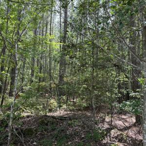Photo #1 of New Elam Church, Moncure, NC 14.3 acres