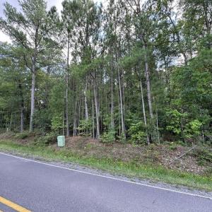 Photo #3 of New Elam Church, Moncure, NC 14.3 acres