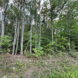 Photo #5 of New Elam Church, Moncure, NC 14.3 acres