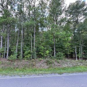 Photo #2 of New Elam Church, Moncure, NC 14.3 acres