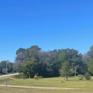 Photo #5 of 8482 State Highway 27 W, Lillington, NC 22.4 acres