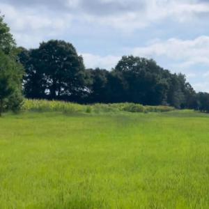 Photo #3 of 8482 State Highway 27 W, Lillington, NC 22.4 acres