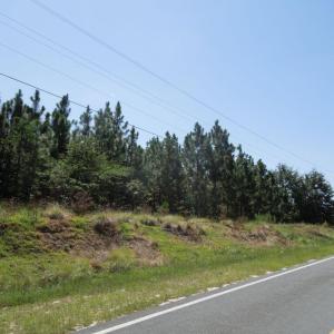 Photo #11 of Tbd Hwy 24 And Marks Rd, Cameron, NC 12.8 acres