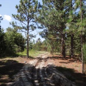 Photo #12 of Tbd Hwy 24 And Marks Rd, Cameron, NC 12.8 acres