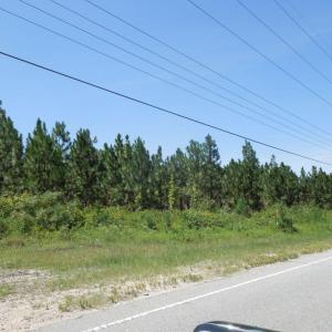 Photo #10 of Tbd Hwy 24 And Marks Rd, Cameron, NC 12.8 acres