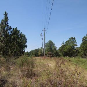 Photo #7 of Tbd Hwy 24 And Marks Rd, Cameron, NC 12.8 acres