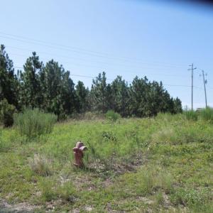 Photo #1 of Tbd Hwy 24 And Marks Rd, Cameron, NC 12.8 acres