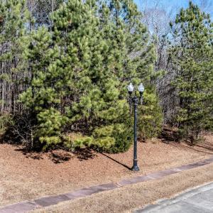 Photo #1 of 49 Larkington, Siler City, NC 4.1 acres