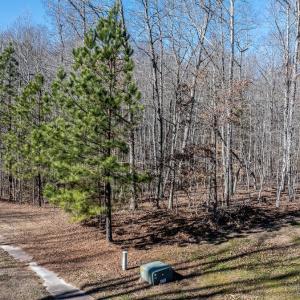 Photo #13 of 49 Larkington, Siler City, NC 4.1 acres