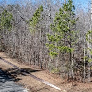 Photo #2 of 49 Larkington, Siler City, NC 4.1 acres