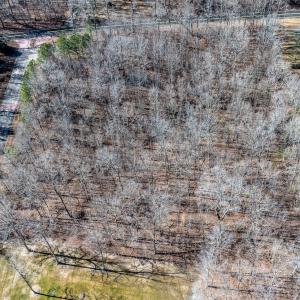 Photo #8 of 49 Larkington, Siler City, NC 4.1 acres